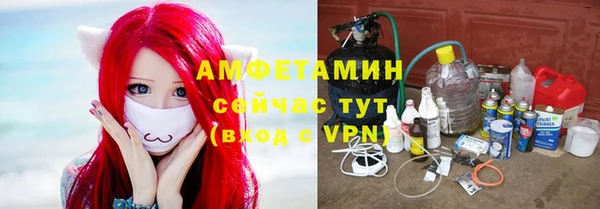 индика Балабаново